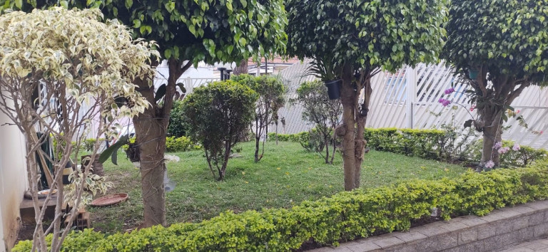 Imagem Apartamento com 3 Quartos à Venda, 10.000 m² em Saúde - São Paulo Imagem Apartamento com 3 Quartos à Venda, 10.000 m² em Saúde - São Paulo