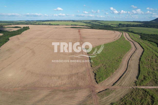 Imagem Fazenda à Venda, 90 m² em Zona Rural - Santa Rosa De Viterbo Imagem Fazenda à Venda, 90 m² em Zona Rural - Santa Rosa De Viterbo