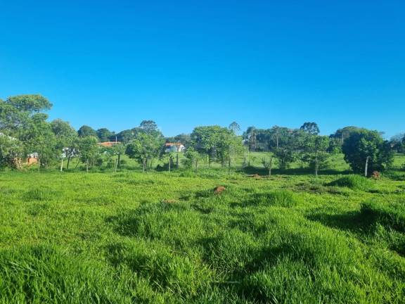 Imagem Terreno à Venda, 13.000 m² em Vila Camarão - Itapetininga Imagem Terreno à Venda, 13.000 m² em Vila Camarão - Itapetininga