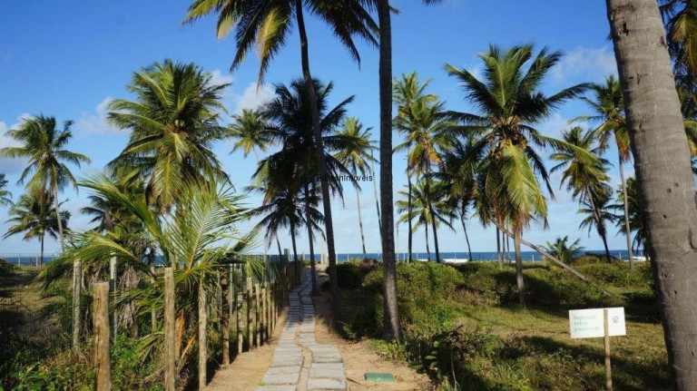 Imagem Casa com 5 Quartos à Venda, 292 m² em Praia Do Forte - Mata De São João Imagem Casa com 5 Quartos à Venda, 292 m² em Praia Do Forte - Mata De São João