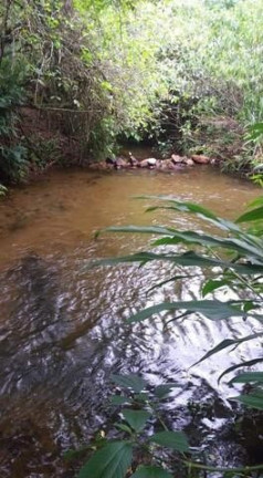 Imagem Terreno à Venda, 402 m² em Massaguaçu - Caraguatatuba Imagem Terreno à Venda, 402 m² em Massaguaçu - Caraguatatuba