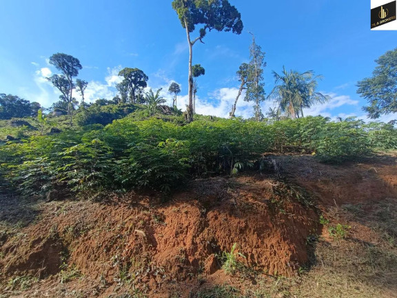 Imagem Imóvel com 2 Quartos à Venda, 182.000 m² em Zona Rural - Tunas Do Parana Imagem Imóvel com 2 Quartos à Venda, 182.000 m² em Zona Rural - Tunas Do Parana
