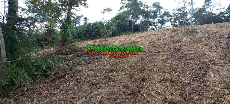 Imagem Chácara à Venda, 30.000 m² em Centro - Monteiro Lobato Imagem Chácara à Venda, 30.000 m² em Centro - Monteiro Lobato