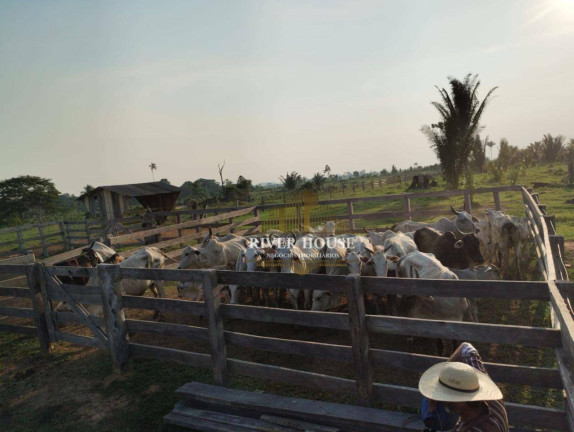 Fazenda à Venda, 6.872.800 m² em Centro - Colniza