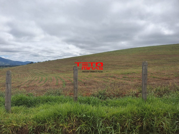 Imóvel à Venda,  em área Rural De Pouso Alegre - Pouso Alegre