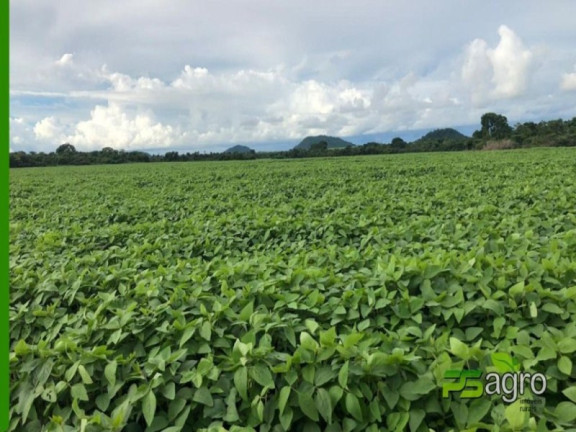 Imagem Imóvel à Venda, 390.000.000 m² em Zona Rural - Santa Terezinha Imagem Imóvel à Venda, 390.000.000 m² em Zona Rural - Santa Terezinha