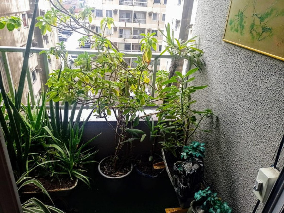 Imagem Apartamento com 3 Quartos à Venda, 60 m² em Piedade - Jaboatão Dos Guararapes