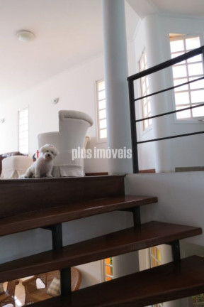 Imagem Casa com 3 Quartos à Venda, 260 m² em Morumbi - São Paulo