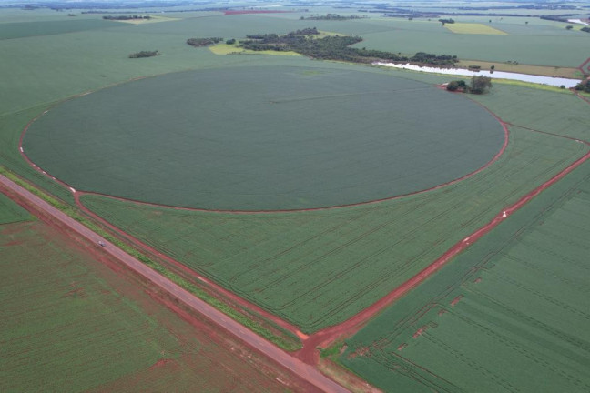 Imagem Fazenda à Venda, 17 m² em Zona Rural - Acreúna Imagem Fazenda à Venda, 17 m² em Zona Rural - Acreúna