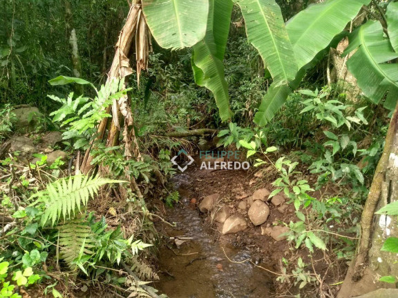 Imagem Terreno à Venda, 850 m² em Zona Rural - Dois Irmãos Imagem Terreno à Venda, 850 m² em Zona Rural - Dois Irmãos