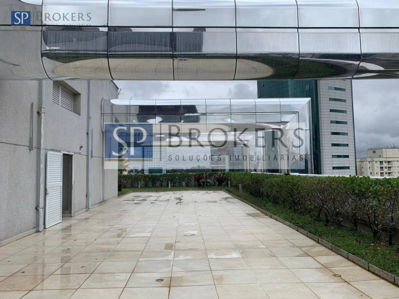 Imagem Sala Comercial para Alugar, 246 m² em Jardim Paulistano - São Paulo Imagem Sala Comercial para Alugar, 246 m² em Jardim Paulistano - São Paulo