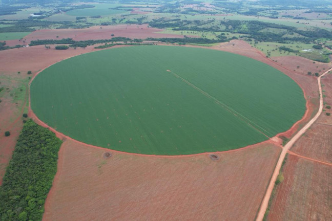 Imagem Fazenda à Venda, 60 m² em Zona Rural - Morrinhos Imagem Fazenda à Venda, 60 m² em Zona Rural - Morrinhos