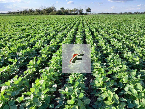 Imagem Fazenda à Venda, 1.185.800 m² em Zona Rural - Lapa Imagem Fazenda à Venda, 1.185.800 m² em Zona Rural - Lapa