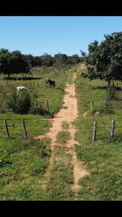 Imagem Fazenda à Venda, 2 m² em área Rural De Luziânia - Luziânia Imagem Fazenda à Venda, 2 m² em área Rural De Luziânia - Luziânia