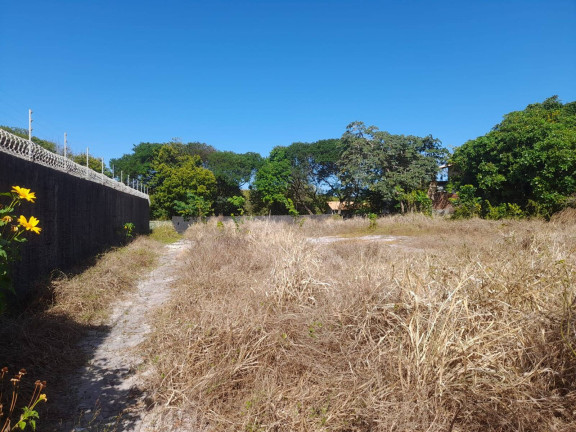 Imagem Terreno à Venda, em Centro - Tibau Do Sul Imagem Terreno à Venda, em Centro - Tibau Do Sul