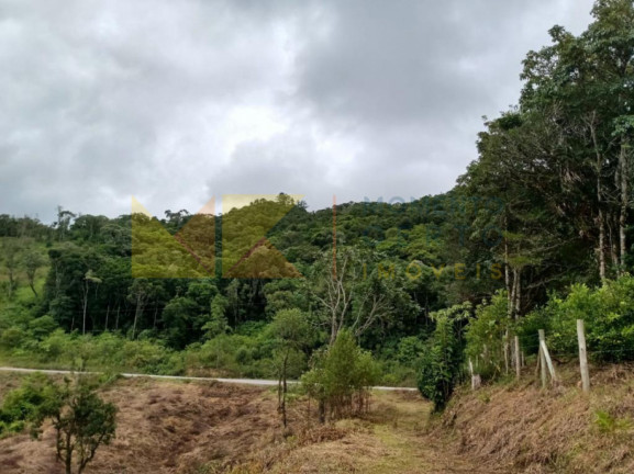 Imagem Fazenda à Venda, 64.288 m² em Barra Avencal - Rio Dos Cedros Imagem Fazenda à Venda, 64.288 m² em Barra Avencal - Rio Dos Cedros