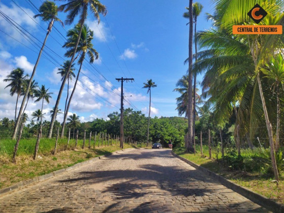 Terreno à Venda, 1.000 m² em Imbassaí - Mata De São João