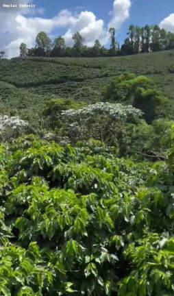 Imagem Fazenda à Venda, 11 m² em Manhumirim Imagem Fazenda à Venda, 11 m² em Manhumirim