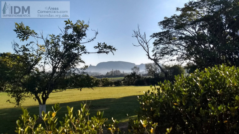 Imagem Chácara à Venda, 824.000 m² em Centro - Gravataí Imagem Chácara à Venda, 824.000 m² em Centro - Gravataí