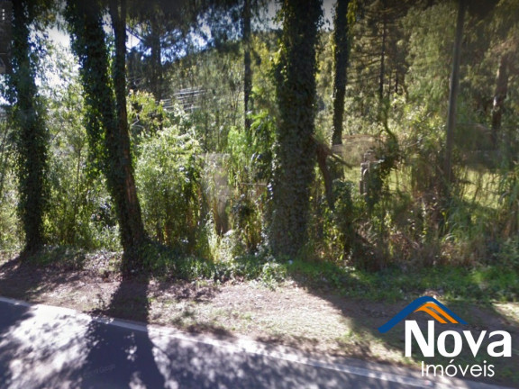 Imagem Imóvel à Venda, 2.500 m² em Piá - Nova Petrópolis Imagem Imóvel à Venda, 2.500 m² em Piá - Nova Petrópolis