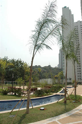 Imagem Imóvel com 4 Quartos à Venda, 172 m² em Panamby - São Paulo Imagem Imóvel com 4 Quartos à Venda, 172 m² em Panamby - São Paulo