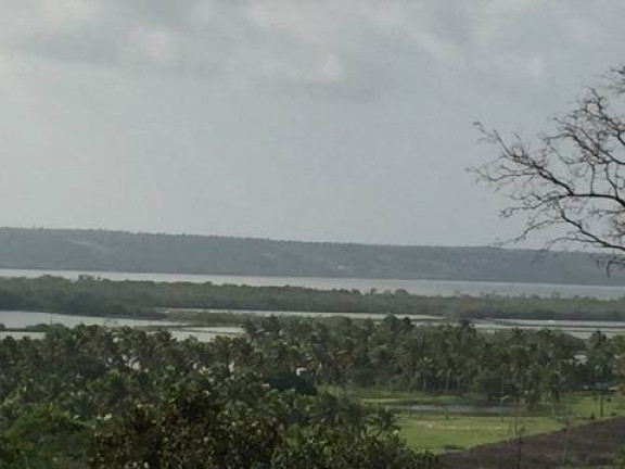 Imagem Terreno à Venda, 35 m² em Piau - Tibau Do Sul