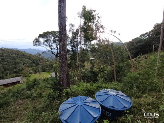 Imagem Fazenda à Venda, 13.000 m² em Pagará - São Pedro De Alcântara Imagem Fazenda à Venda, 13.000 m² em Pagará - São Pedro De Alcântara