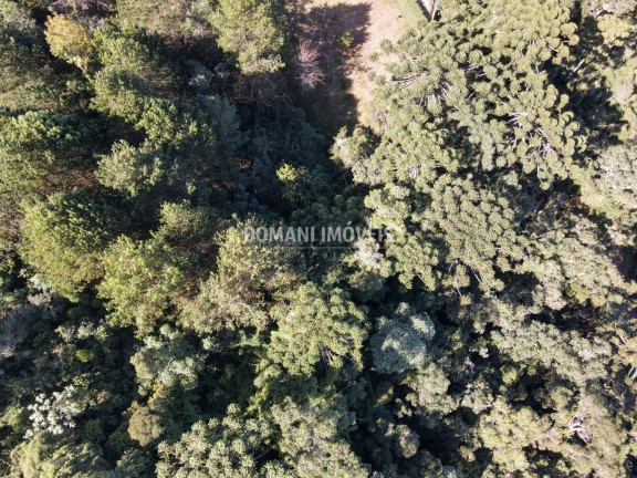 Imagem Terreno à Venda, 4.300 m² em Região Do Alto Da Boa Vista - Campos Do Jordão Imagem Terreno à Venda, 4.300 m² em Região Do Alto Da Boa Vista - Campos Do Jordão