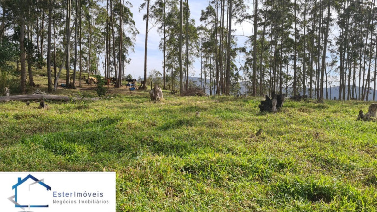 Imagem Imóvel para Alugar ou Temporada, 295.781 m² em Portal Da Serra - Santana De Parnaíba Imagem Imóvel para Alugar ou Temporada, 295.781 m² em Portal Da Serra - Santana De Parnaíba