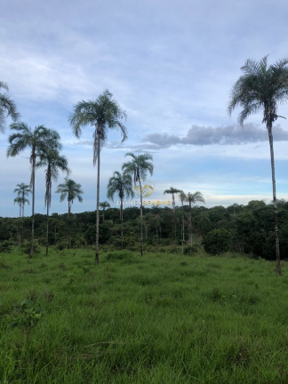 Imagem Imóvel com 3 Quartos à Venda, 45.500 m² em Zona Rural - Minaçu Imagem Imóvel com 3 Quartos à Venda, 45.500 m² em Zona Rural - Minaçu