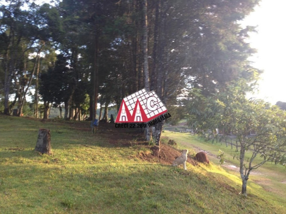 Imagem Fazenda à Venda ou Locação, 120.000 m² em Piedade - Piedade Imagem Fazenda à Venda ou Locação, 120.000 m² em Piedade - Piedade