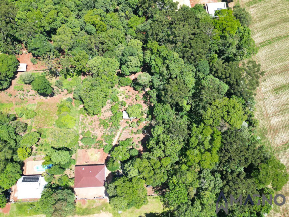 Imagem Chácara com 3 Quartos à Venda, 5.000 m² em Coqueiral - Cascavel Imagem Chácara com 3 Quartos à Venda, 5.000 m² em Coqueiral - Cascavel