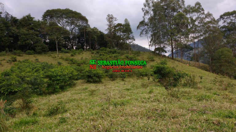 Imagem Chácara à Venda, 5.000 m² em São Francisco Xavier - São José Dos Campos Imagem Chácara à Venda, 5.000 m² em São Francisco Xavier - São José Dos Campos