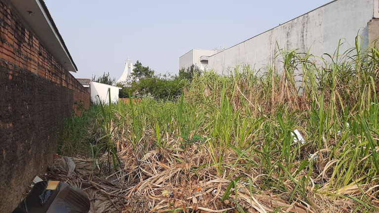 Imagem Terreno à Venda, 480 m² em Floresta - Cascavel Imagem Terreno à Venda, 480 m² em Floresta - Cascavel