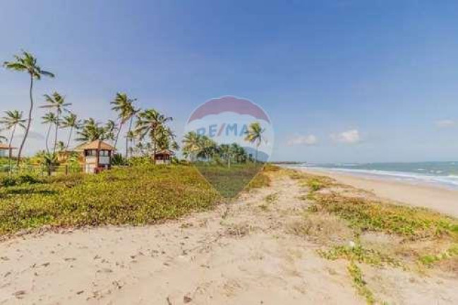 Imagem Terreno à Venda, 700 m² em Praia Do Forte - Mata De São João Imagem Terreno à Venda, 700 m² em Praia Do Forte - Mata De São João