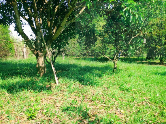 Imagem Chácara com 2 Quartos à Venda, 4.326 m² em Azurita Imagem Chácara com 2 Quartos à Venda, 4.326 m² em Azurita