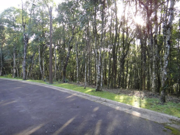 Imagem Terreno à Venda, 800 m² em Parque Boa Esperança - Gramado Imagem Terreno à Venda, 800 m² em Parque Boa Esperança - Gramado