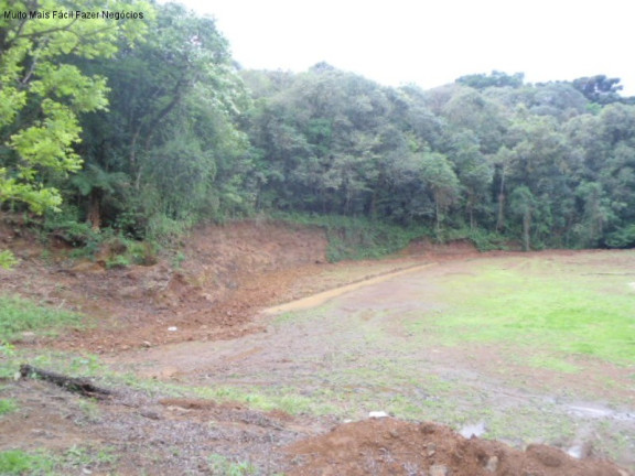 Imagem Terreno à Venda, 3 m² em Vale Verde - Nova Petrópolis Imagem Terreno à Venda, 3 m² em Vale Verde - Nova Petrópolis