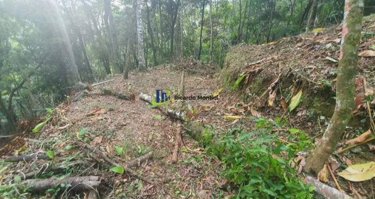 Imagem Imóvel à Venda,  em Centro - Camboriú