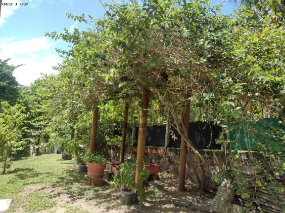 Imagem Casa com 4 Quartos à Venda, 900 m² em Jauá (abrantes) - Camaçari Imagem Casa com 4 Quartos à Venda, 900 m² em Jauá (abrantes) - Camaçari