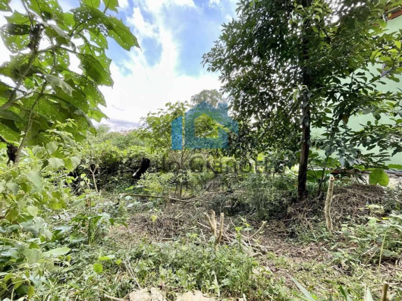 Imagem Terreno em Condomínio à Venda, 907 m² em Granja Viana - Cotia Imagem Terreno em Condomínio à Venda, 907 m² em Granja Viana - Cotia