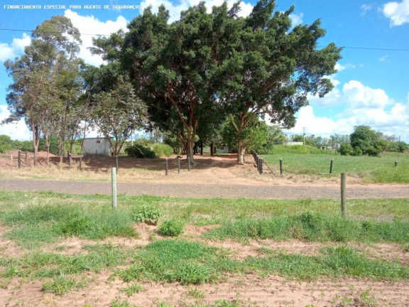 Imagem Chácara com 4 Quartos à Venda, 70.180 m² em Zona Rural - Flórida Imagem Chácara com 4 Quartos à Venda, 70.180 m² em Zona Rural - Flórida