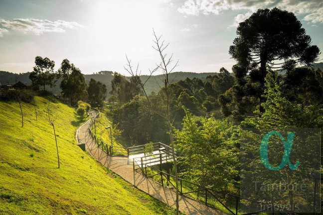 Imagem Terreno em Condomínio à Venda, 420 m² em Tamboré - Santana De Parnaíba Imagem Terreno em Condomínio à Venda, 420 m² em Tamboré - Santana De Parnaíba
