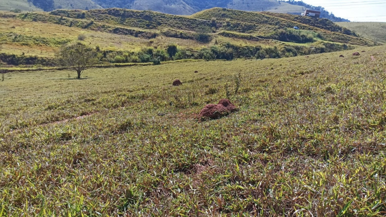 Imagem Chácara com 2 Quartos à Venda, 200 m² em Canaã I - Jambeiro Imagem Chácara com 2 Quartos à Venda, 200 m² em Canaã I - Jambeiro