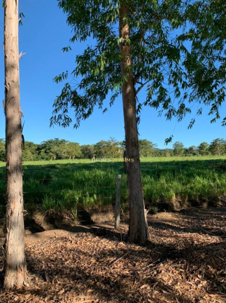 Imagem Imóvel com 3 Quartos à Venda, 3.700 m² em Centro - Nobres Imagem Imóvel com 3 Quartos à Venda, 3.700 m² em Centro - Nobres