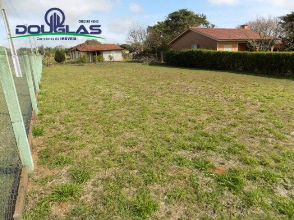 Imagem Terreno à Venda, 500 m² em Morro Grande - Viamão Imagem Terreno à Venda, 500 m² em Morro Grande - Viamão