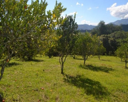 Imagem Imóvel à Venda,  em . - Tanguá