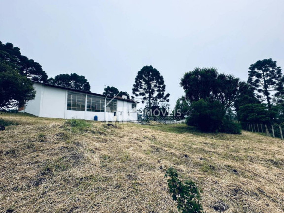 Imagem Chácara com 3 Quartos à Venda, 407 m² em Borda Do Campo (quatro Barras) Imagem Chácara com 3 Quartos à Venda, 407 m² em Borda Do Campo (quatro Barras)