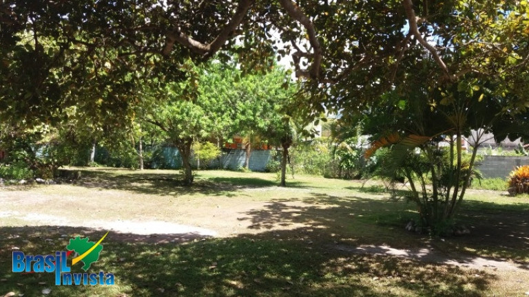 Imagem Terreno à Venda, 4.582 m² em Br367 - Santa Cruz Cabrália Imagem Terreno à Venda, 4.582 m² em Br367 - Santa Cruz Cabrália