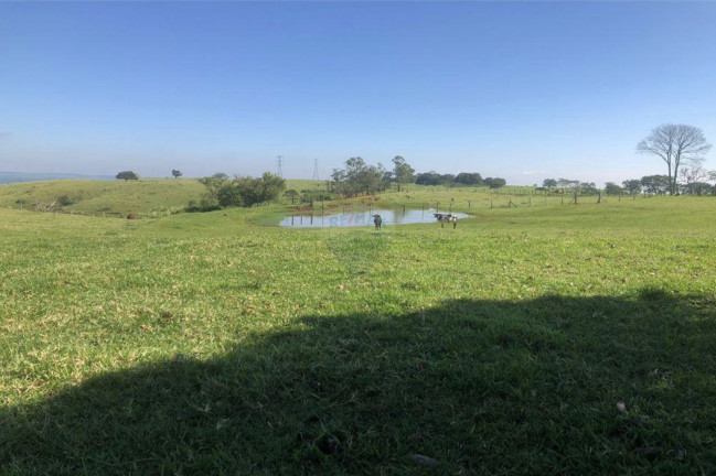 Imagem Fazenda à Venda, 285.000 m² em Centro Imagem Fazenda à Venda, 285.000 m² em Centro